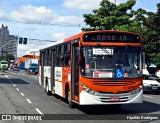TRANSPPASS - Transporte de Passageiros 8 1316 na cidade de São Paulo, São Paulo, Brasil, por Hipólito Rodrigues. Número da foto: #:id.