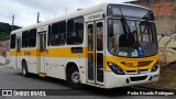 Transportes Coletivos Nossa Senhora da Piedade EP2289 na cidade de Campo Largo, Paraná, Brasil, por Pedro Ricardo Rodrigues. Número da foto: #12982075.