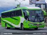 Pulmitan De Liberia 00 na cidade de Mata Redonda, San José, San José, Costa Rica, por Andrés Martínez Rodríguez. Número da foto: #12981157.