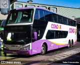 Condorbus 2385 na cidade de Viña del Mar, Valparaíso, Valparaíso, Chile, por Tadeu Vasconcelos. Número da foto: #12982894.