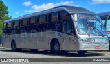 Araucária Transportes Coletivos 19L53 na cidade de Curitiba, Paraná, Brasil, por Gabriel Spiss. Número da foto: #12983410.