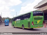 Pássaro Verde 15132 na cidade de Belo Horizonte, Minas Gerais, Brasil, por Douglas Yuri. Número da foto: #:id.
