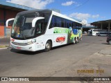 Eucatur - Empresa União Cascavel de Transportes e Turismo 4917 na cidade de Porto Alegre, Rio Grande do Sul, Brasil, por JULIO SILVA. Número da foto: #12981206.