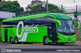 Caribeños 00 na cidade de San José, Costa Rica, por Andrés Martínez Rodríguez. Número da foto: #12983043.