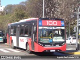 Tarsa 4821 na cidade de Ciudad Autónoma de Buenos Aires, Argentina, por Agustin SanCristobal1712. Número da foto: #12983392.