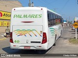 Expresso Palmares 40 na cidade de Palmares do Sul, Rio Grande do Sul, Brasil, por Charlys William. Número da foto: #12982587.