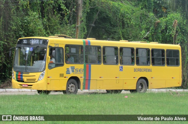 Borborema Imperial Transportes 313 na cidade de Recife, Pernambuco, Brasil, por Vicente de Paulo Alves. Número da foto: #12986207.