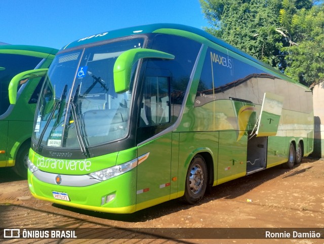 Pássaro Verde 16913 na cidade de Minas Novas, Minas Gerais, Brasil, por Ronnie Damião. Número da foto: #12984737.