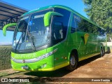 Pássaro Verde 16903 na cidade de Minas Novas, Minas Gerais, Brasil, por Ronnie Damião. Número da foto: #12984733.