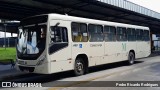 Empresa de Ônibus Campo Largo 22277 na cidade de Campo Largo, Paraná, Brasil, por Pedro Ricardo Rodrigues. Número da foto: #12984115.