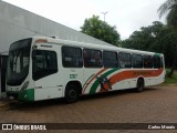 Empresa de Transportes Andorinha 6367 na cidade de Presidente Venceslau, São Paulo, Brasil, por Carlos Morais. Número da foto: #12986914.
