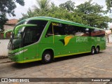 Pássaro Verde 16901 na cidade de Minas Novas, Minas Gerais, Brasil, por Ronnie Damião. Número da foto: #12984725.
