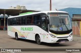 Expresso Palmares 34 na cidade de Porto Alegre, Rio Grande do Sul, Brasil, por George Miranda. Número da foto: #:id.