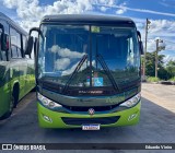 Turin Transportes 2495 na cidade de Conselheiro Lafaiete, Minas Gerais, Brasil, por Eduardo Vieira. Número da foto: #12984272.