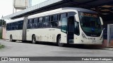 Empresa de Ônibus Campo Largo 22R04 na cidade de Campo Largo, Paraná, Brasil, por Pedro Ricardo Rodrigues. Número da foto: #12984117.