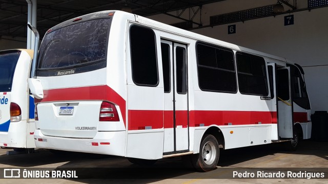Ônibus Particulares DTA6A85 na cidade de Pirassununga, São Paulo, Brasil, por Pedro Ricardo Rodrigues. Número da foto: #12990706.