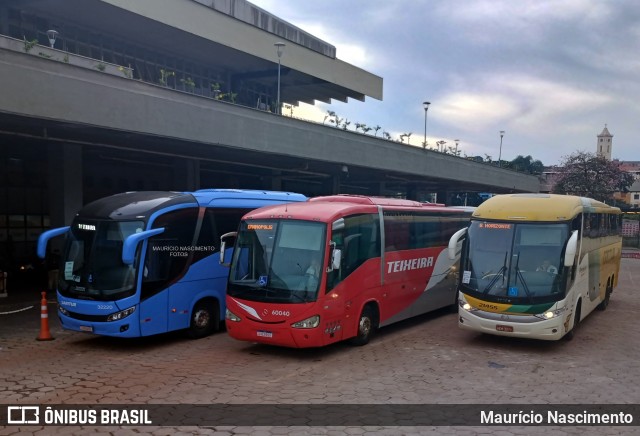 Empresa Gontijo de Transportes 21455 na cidade de Belo Horizonte, Minas Gerais, Brasil, por Maurício Nascimento. Número da foto: #12991286.