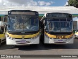 Tarcísio Araújo Transportes 3H26 na cidade de Luziânia, Goiás, Brasil, por Matheus de Souza. Número da foto: #:id.