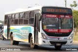 Ypacarai Transporte S.A. - Línea 242 1666 na cidade de Luque, Central, Paraguai, por José Paredes. Número da foto: #12993200.