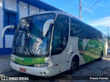 Pássaro Verde 29018 na cidade de Minas Novas, Minas Gerais, Brasil, por Ronnie Damião. Número da foto: #12991798.