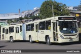 Viação Antonina 24419 na cidade de Caxias do Sul, Rio Grande do Sul, Brasil, por Jovani Cecchin. Número da foto: #12993204.