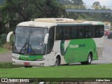 Pássaro Verde 29016 na cidade de João Monlevade, Minas Gerais, Brasil, por Adrian Sena. Número da foto: #12990591.