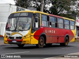 Lince 22 na cidade de Asunción, Paraguai, por Willian Lezcano. Número da foto: #12992920.