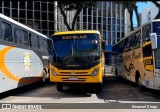Prefeitura Municipal de Cruzmaltina 0401 na cidade de Apucarana, Paraná, Brasil, por Emanoel Diego.. Número da foto: #12990740.
