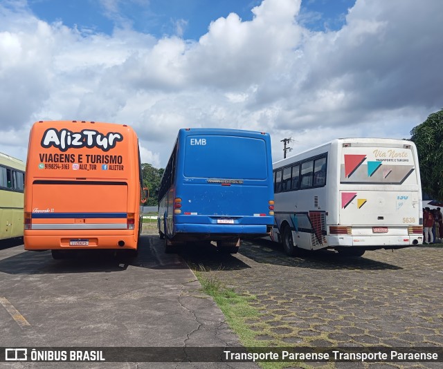 Ônibus Particulares JUY4270 na cidade de Belém, Pará, Brasil, por Transporte Paraense. Número da foto: #12995207.