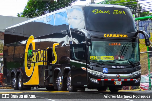 Caribeños 00 na cidade de San José, San José, Costa Rica, por Andrés Martínez Rodríguez. Número da foto: #12993690.