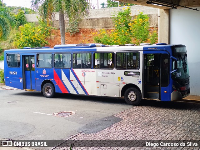 Transportes Capellini 19.223 na cidade de Americana, São Paulo, Brasil, por Diego Cardoso da Silva. Número da foto: #12993897.