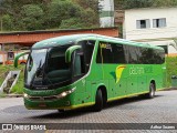 Pássaro Verde 15135 na cidade de Itabirito, Minas Gerais, Brasil, por Arthur Soares. Número da foto: #12994031.