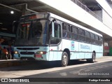 Transcal Sul Transportes Coletivos 24125 na cidade de Porto Alegre, Rio Grande do Sul, Brasil, por Rodrigo Koscolka. Número da foto: #12994638.