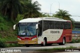 Rouxinol 2050 na cidade de Belo Horizonte, Minas Gerais, Brasil, por Rodrigo Barraza. Número da foto: #12995872.