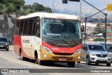 Rouxinol 2404 na cidade de Belo Horizonte, Minas Gerais, Brasil, por Rodrigo Barraza. Número da foto: #12995885.