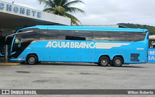 Viação Águia Branca 28560 na cidade de Governador Valadares, Minas Gerais, Brasil, por Wilton Roberto. Número da foto: #12997555.