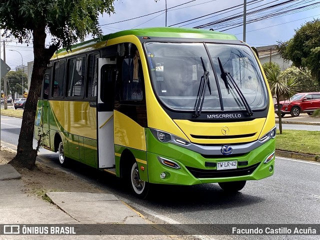 Asociación Buses San Antonio 128 na cidade de San Antonio, San Antonio, Valparaíso, Chile, por Facundo Castillo Acuña. Número da foto: #12996751.