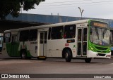 Via Verde Transportes Coletivos 0513059 na cidade de Manaus, Amazonas, Brasil, por Gilmar Porfírio. Número da foto: #12996621.
