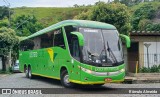 Pássaro Verde 11102 na cidade de Cataguases, Minas Gerais, Brasil, por Rômulo Almeida. Número da foto: #12997565.