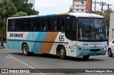 Transporte Coletivo Eromave 1030 na cidade de Muriaé, Minas Gerais, Brasil, por Flavio Rodrigues Silva. Número da foto: #12997927.