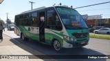 Nueva Clarillo FPXL79 na cidade de Puente Alto, Cordillera, Metropolitana de Santiago, Chile, por Rodrigo Acevedo. Número da foto: #12998368.