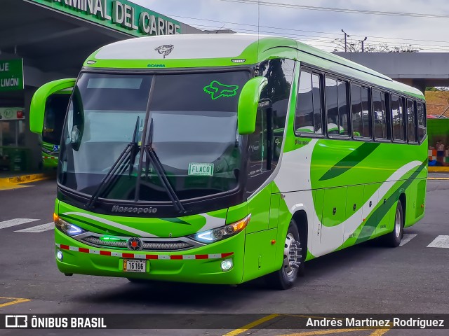 Guapileños 00 na cidade de San José, San José, Costa Rica, por Andrés Martínez Rodríguez. Número da foto: #13001051.
