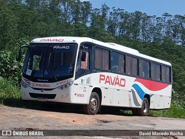 Turismo Pavão 21201 na cidade de Cotia, São Paulo, Brasil, por David Macedo Rocha. Número da foto: #13002785.