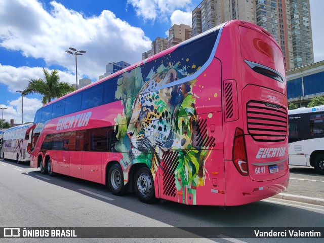 Eucatur - Empresa União Cascavel de Transportes e Turismo 6041 na cidade de Barueri, São Paulo, Brasil, por Vanderci Valentim. Número da foto: #13002000.