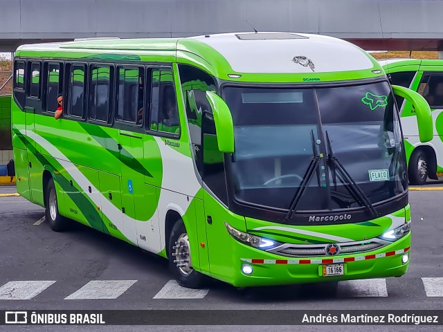 Guapileños 00 na cidade de San José, San José, Costa Rica, por Andrés Martínez Rodríguez. Número da foto: #13001429.