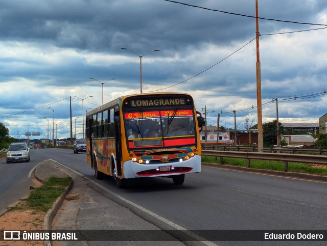 TLGSA - Transporte Loma Grande S.A. - Línea 132 > Transporte LomaGrandense S.A. 039 na cidade de Limpio, Central, Paraguai, por Eduardo Dodero. Número da foto: #13000545.