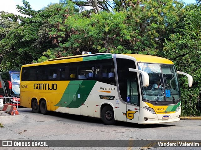 Empresa Gontijo de Transportes 15065 na cidade de São Paulo, São Paulo, Brasil, por Vanderci Valentim. Número da foto: #13001680.