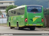 Pássaro Verde 20180 na cidade de Itabirito, Minas Gerais, Brasil, por Arthur Soares. Número da foto: #12999479.