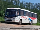 Turismo Pavão 21201 na cidade de Cotia, São Paulo, Brasil, por David Macedo Rocha. Número da foto: #13002785.