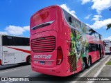 Eucatur - Empresa União Cascavel de Transportes e Turismo 6041 na cidade de Barueri, São Paulo, Brasil, por Vanderci Valentim. Número da foto: #13001993.